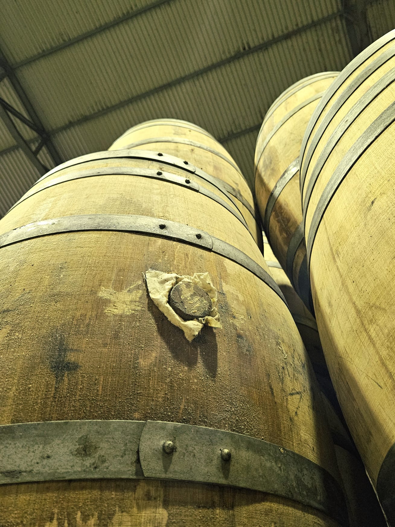 Madeira Bual Wine Barrels