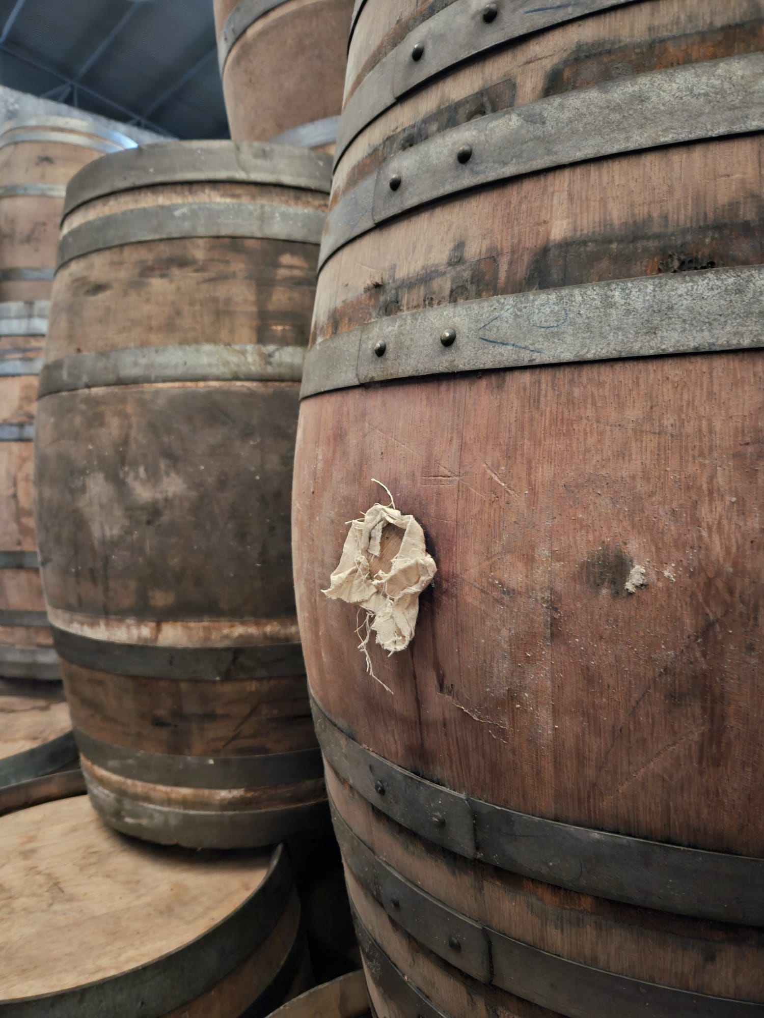 Moscatel Douro Wine Barrels